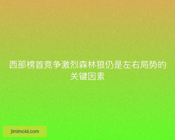 西部榜首竞争激烈森林狼仍是左右局势的关键因素